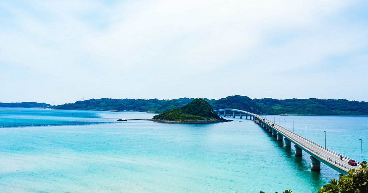 山口県 合同会社設立