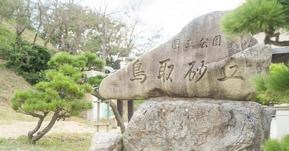 鳥取県 合同会社設立